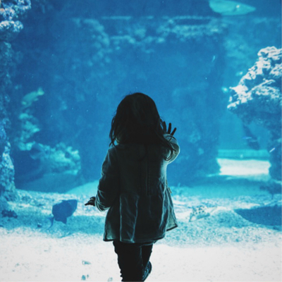 a child holding her hand up to the aquarium glass